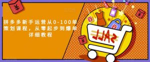 拼多多新手运营从0-100单策划课程，从零起步到爆单详细教程-最全资源库