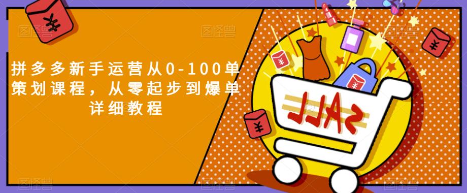 拼多多新手运营从0-100单策划课程，从零起步到爆单详细教程-最全资源库