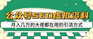 公众号SEO虚拟资料，操作简单，日入500+，可批量操作【揭秘】-最全资源库