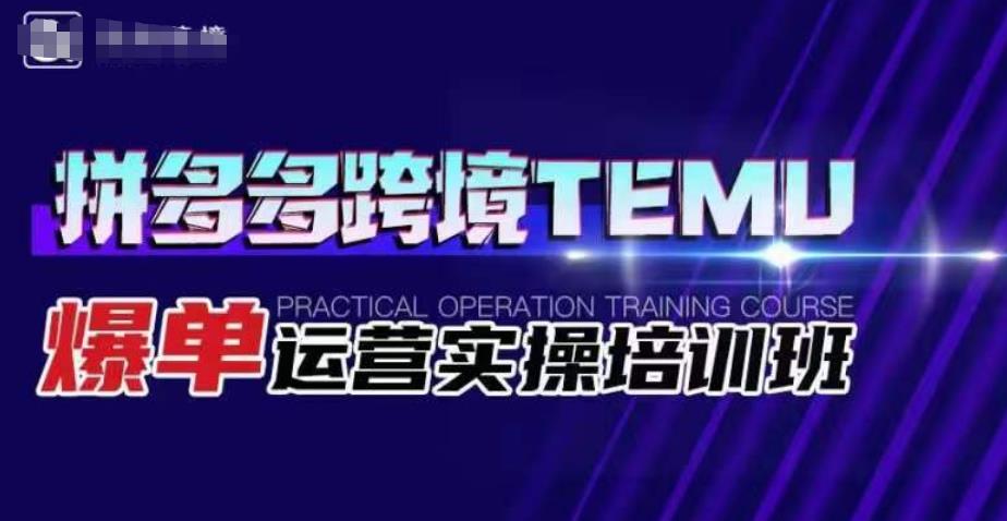 拼多多跨境TEMU爆单运营实操培训班，海外拼多多的选品、运营、爆单-最全资源库