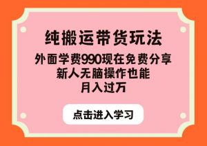 纯搬运带货玩法，外面学费990现在免费分享，新人无脑操作也能月入过万【揭秘】-最全资源库
