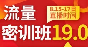 秋秋线上流量密训班19.0，打通流量关卡，线上也能实战流量破局-最全资源库