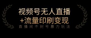 全网首发视频号不封号无人直播暴利玩法+流量印刷机变现，日入1000+【揭秘】-最全资源库