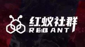 社群运营：红蚁社群【48节落地系统课程+2000人高端社群】-最全资源库