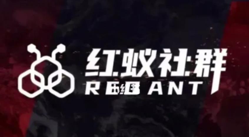 社群运营：红蚁社群【48节落地系统课程+2000人高端社群】-最全资源库