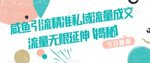 咸鱼引流精准私域流量成交流量无限延伸【揭秘】-最全资源库