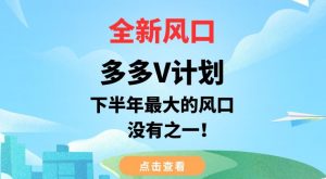 全新风口，多多V计划，下半年最大的风口项目，没有之一【揭秘】-最全资源库