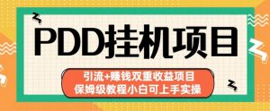 拼多多挂机项目引流+赚钱双重收益项目(保姆级教程小白可上手实操)【揭秘】-最全资源库