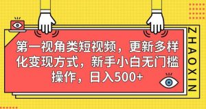 第一视角类短视频，更新多样化变现方式，新手小白无门槛操作，日入500+【揭秘】-最全资源库