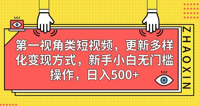 第一视角类短视频，更新多样化变现方式，新手小白无门槛操作，日入500+【揭秘】-最全资源库