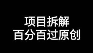 项目拆解赛道百分百过原创【揭秘】-最全资源库