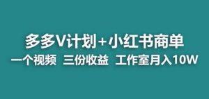 【蓝海项目】多多v计划+小红书商单一个视频三份收益工作室月入10w-最全资源库