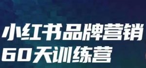 小红书品牌60天训练营第6期，GMV2亿级品牌老板都在学，教会你内容营销底层逻辑-最全资源库