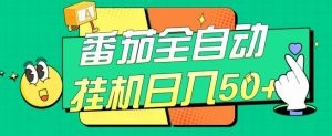 番茄全自动挂机日入50+，软件全自动，多号破百【揭秘】-最全资源库