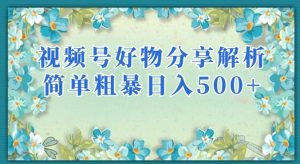 视频号好物分享解析，简单粗暴可以批量方大的项目【揭秘】-最全资源库