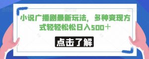 小说广播剧最新玩法，多种变现方式轻轻松松日入500＋【揭秘】-最全资源库