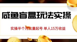 独家首发咸鱼盲盒玩法实操，半个月批量起号单人15万收益【揭秘】-最全资源库