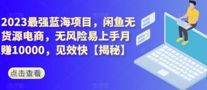 2023最强蓝海项目,闲鱼无货源电商,无风险易上手月赚10000,见效快【揭秘】-最全资源库