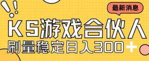 快手游戏合伙人新项目，新手小白也可日入300+，工作室可大量跑-最全资源库