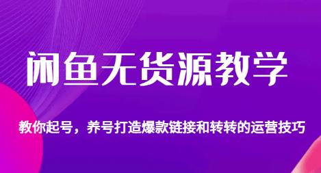 闲鱼无货源教学，教你起号，养号打造爆款链接以及转转的运营技巧-最全资源库
