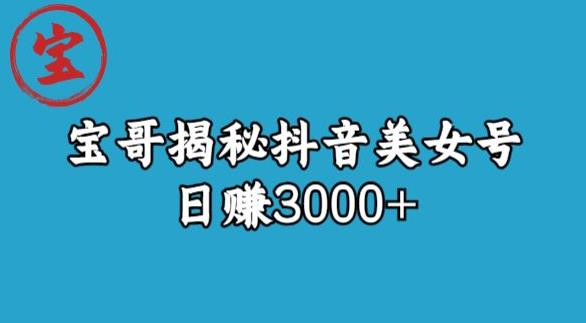 宝哥揭秘抖音美女号玩法，日赚3000+【揭秘】-最全资源库