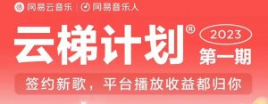 2023年8月份网易云最新独家挂机技术，真正实现挂机月入5000【揭秘】-最全资源库