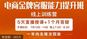 电商金牌客服能力提升班，提升客服能力是你店铺业绩的关键要素-最全资源库