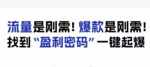 电商盈利精品课：6大盈利密码让产品更好卖，流量是刚需！爆款是刚需！找到”盈利密码”一键起爆-最全资源库