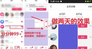全网首发,日引500+男粉美女视频四开屏玩法,发一个爆一个【揭秘】-最全资源库