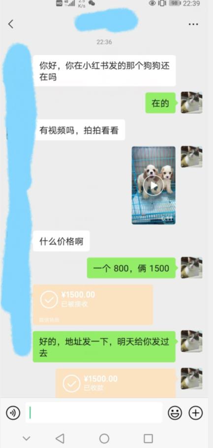 外边收费3980的同城萌宠项目，用最冷门的玩法冲击最热门的市场【揭秘】-最全资源库