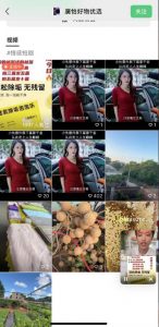 外面收费198的最新视频号连怼技术，条条原创，条条爆单【揭秘】-最全资源库