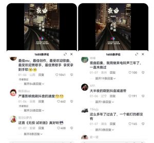 副业拆解：抖音杰伦音乐号涨粉变现项目，视频版一条龙实操玩法分享给你-最全资源库