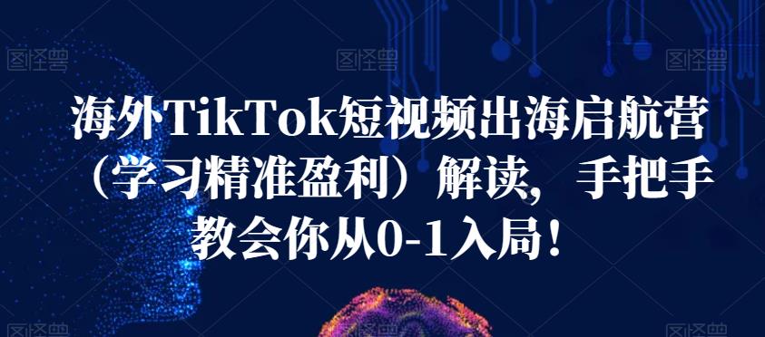 海外TikTok短视频出海启航营（学习精准盈利）解读，手把手教会你从0-1入局！-最全资源库