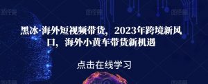 黑冰·海外短视频带货，2023年跨境新风口，海外小黄车带货新机遇-最全资源库