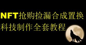 NFT抢购捡漏合成置换科技制作全套教程-最全资源库
