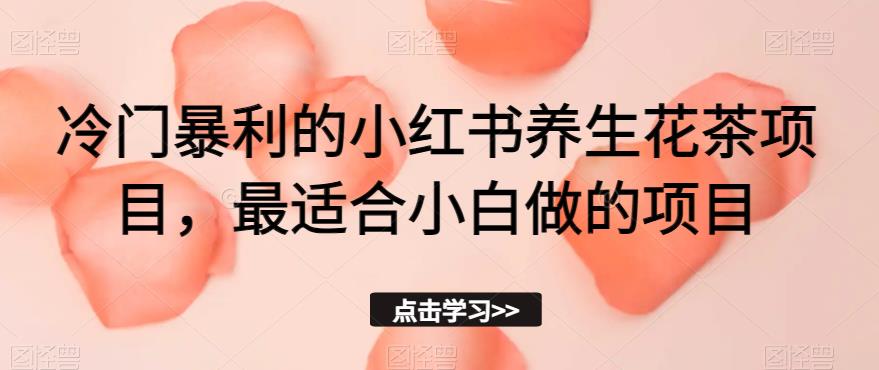 冷门暴利的小红书养生花茶项目，最适合小白做的项目【揭秘】-最全资源库