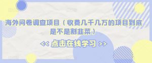 海外问卷调查项目（收费几千几万的项目到底是不是割韭菜）【揭秘】-最全资源库
