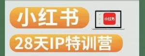 28天小红书博主IP特训营（第3期）实战经验，快速涨粉，迅速变现-最全资源库