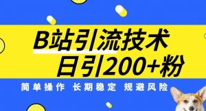 B站引流技术：每天引流200精准粉，简单操作，长期稳定，规避风险-最全资源库