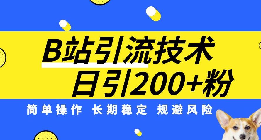 B站引流技术：每天引流200精准粉，简单操作，长期稳定，规避风险-最全资源库