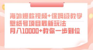 海外爆款视频+保姆级教学，壁纸号项目最新玩法，月入10000+教你一步到位【揭秘】-最全资源库