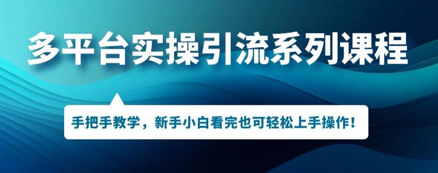 多平台引流实操系列课程，新手小白看完也可轻松上手进行引流操作-最全资源库