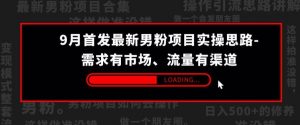 9月首发最新男粉项目实操思路-需求有市场，流量有渠道【揭秘】-最全资源库
