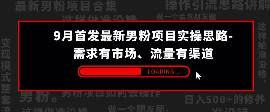 9月首发最新男粉项目实操思路-需求有市场，流量有渠道【揭秘】-最全资源库