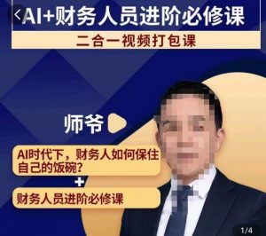 AI+财务人员进阶必修课二合一视频打包课，财务人员进阶必修课-最全资源库