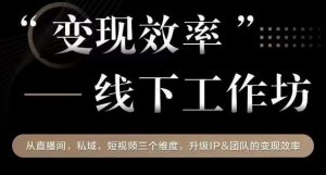 变现效率线下工作坊，从‮播直‬间、私域、‮视短‬频‮个三‬维度，升级IP和团队变现效率-最全资源库