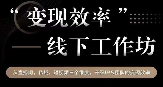 变现效率线下工作坊，从‮播直‬间、私域、‮视短‬频‮个三‬维度，升级IP和团队变现效率-最全资源库