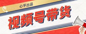 视频号带货好物分享2.0，看完以后可以直接开干了【揭秘】-最全资源库