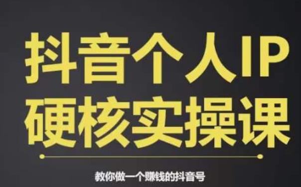 个人IP创富系统实战课，商业定位，流量打造，短视频变现，教你做个赚钱的抖音号-最全资源库