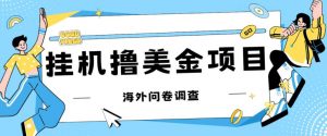 最新挂机撸美金礼品卡项目，可批量操作，单机器200+【入坑思路+详细教程】-最全资源库